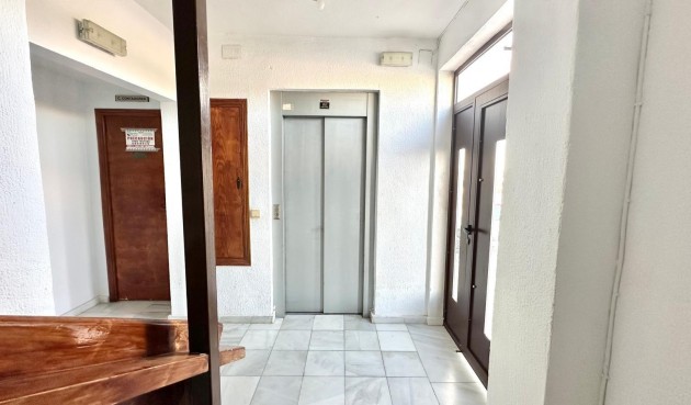 Brukt - Apartment -
Torrevieja - aguas nuevas