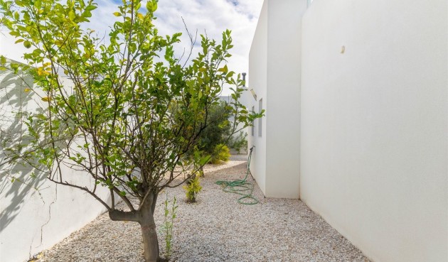 Resale - Villa -
Benijofar - Costa Blanca