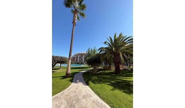 Brukt - Apartment -
Torrevieja - Aguas Nuevas 2