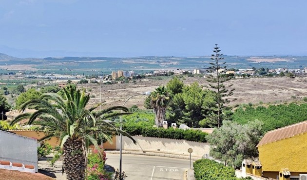 Resale - Villa -
San Miguel de Salinas - Inland