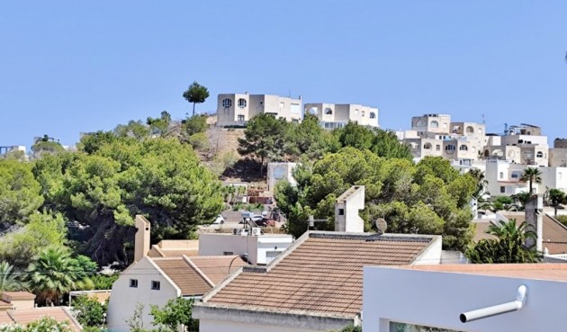 Resale - Villa -
San Miguel de Salinas - Inland