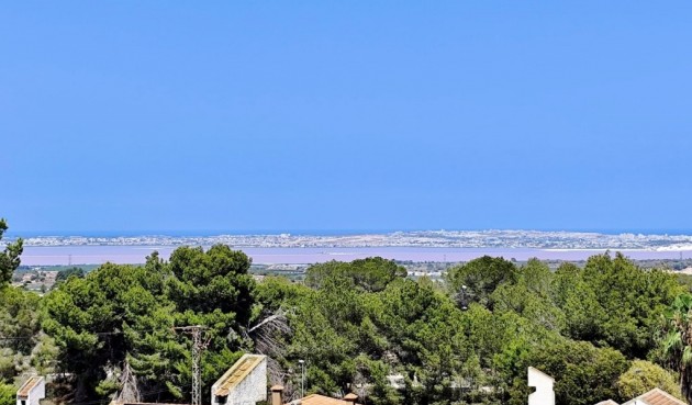 Resale - Villa -
San Miguel de Salinas - Inland