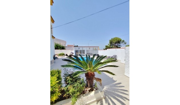 Resale - Villa -
San Miguel de Salinas - Inland