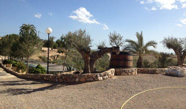 Resale - Villa -
Abanilla - Inland