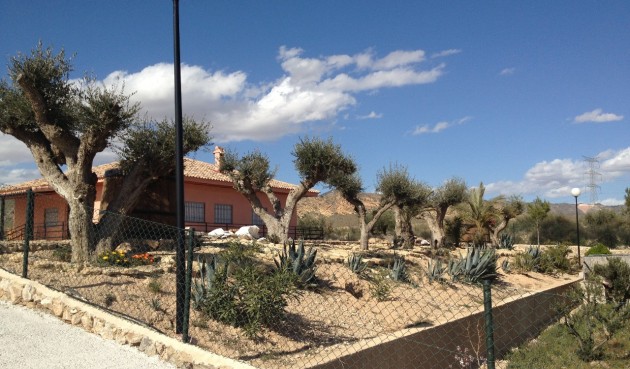 Resale - Villa -
Abanilla - Inland