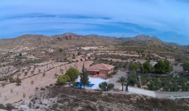 Resale - Villa -
Abanilla - Inland