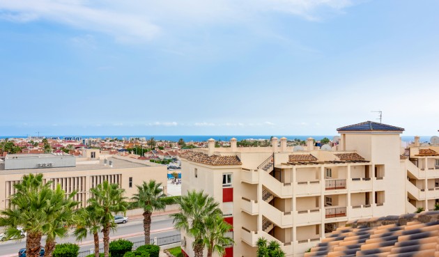 Brukt - Apartment -
Playa Flamenca - Costa Blanca
