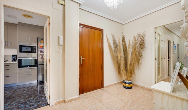 Brukt - Apartment -
Torrevieja - Centro