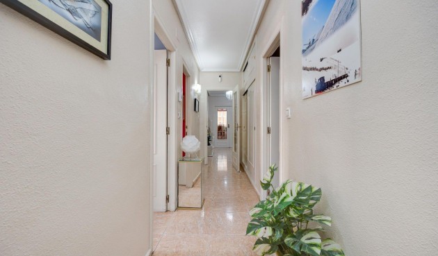 Brukt - Apartment -
Torrevieja - Centro