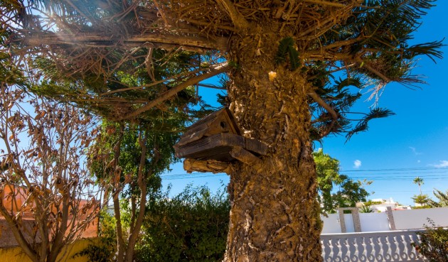 Resale - Villa -
La Siesta - Costa Blanca