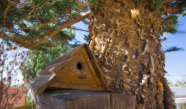 Resale - Villa -
La Siesta - Costa Blanca