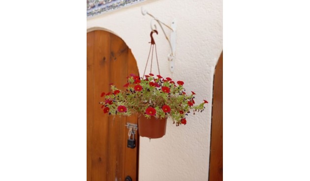 Brukt - Villa -
Villamartin - Costa Blanca