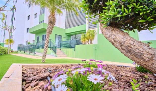 Brukt - Apartment -
Mil Palmeras - Costa Blanca