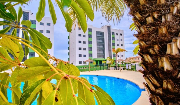Brukt - Apartment -
Mil Palmeras - Costa Blanca