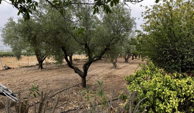 Resale - Villa -
Biar - Costa Blanca