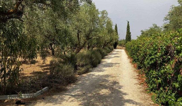 Resale - Villa -
Biar - Costa Blanca