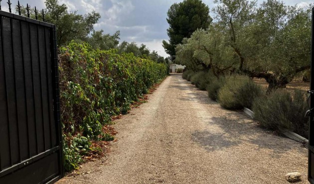 Resale - Villa -
Biar - Costa Blanca