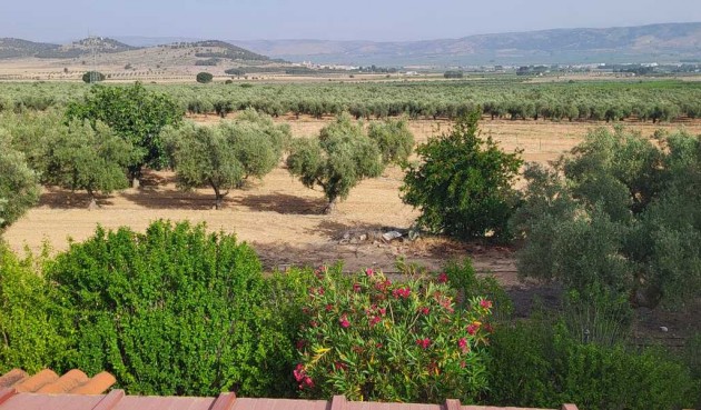 Resale - Villa -
Biar - Costa Blanca