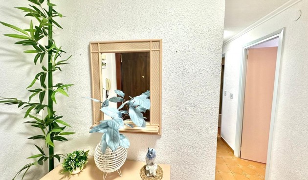 Reventa - Ático -
Torrevieja - Centro