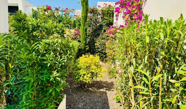 Resale - Villa -
Algorfa - Inland