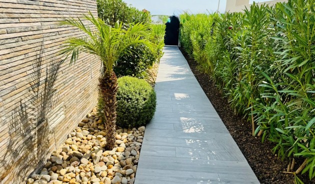 Resale - Villa -
Algorfa - Inland