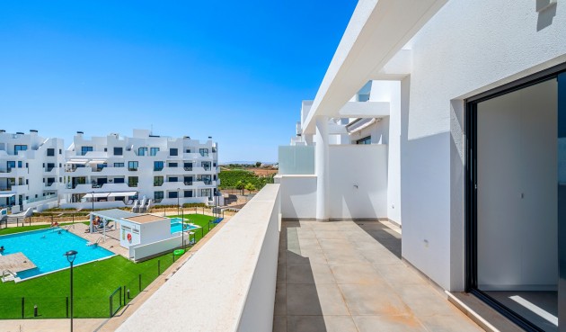 Resale - Apartment -
Torre Pacheco - Inland