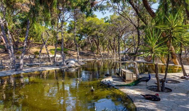 Brukt - Apartment -
Guardamar del Segura - Costa Blanca