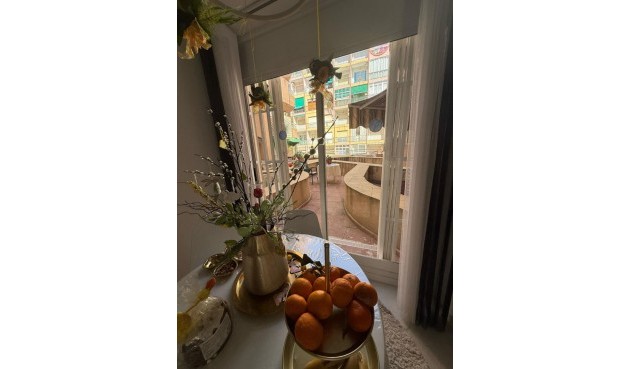 Brukt - Apartment -
Torrevieja - Costa Blanca