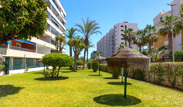Brukt - Apartment -
Torrevieja - Costa Blanca