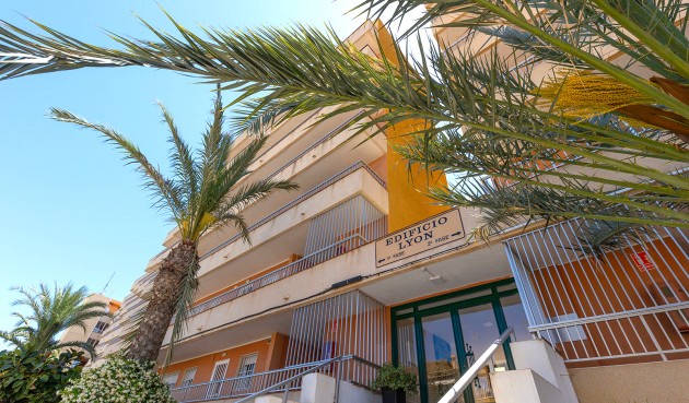 Brukt - Apartment -
Torrevieja - Costa Blanca