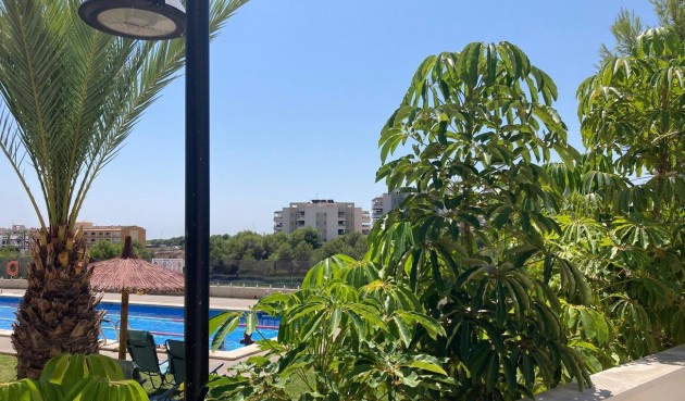 Resale - Apartment -
Los Dolses - Costa Blanca