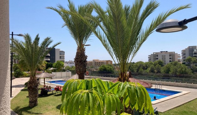 Resale - Apartment -
Los Dolses - Costa Blanca