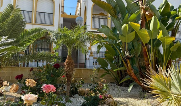 Återförsäljning - Bungalow -
Torrevieja - Cañada Del Molino