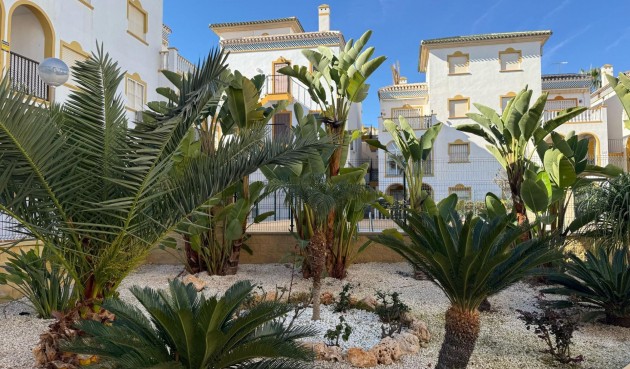 Återförsäljning - Bungalow -
Torrevieja - Cañada Del Molino