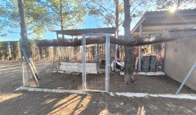 Resale - Villa -
Yecla - Inland