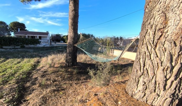 Resale - Villa -
Yecla - Inland