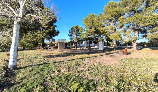 Resale - Villa -
Yecla - Inland