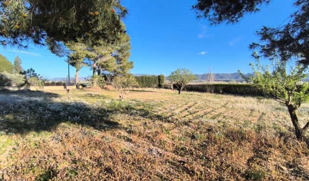 Resale - Villa -
Yecla - Inland