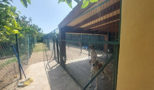 Resale - Villa -
Albir - Costa Blanca