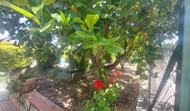 Resale - Villa -
Albir - Costa Blanca