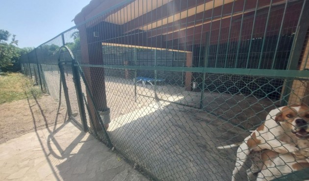 Resale - Villa -
Albir - Costa Blanca