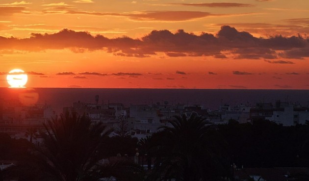 Reventa - Apartment -
Torrevieja - Nueva Torrevieja