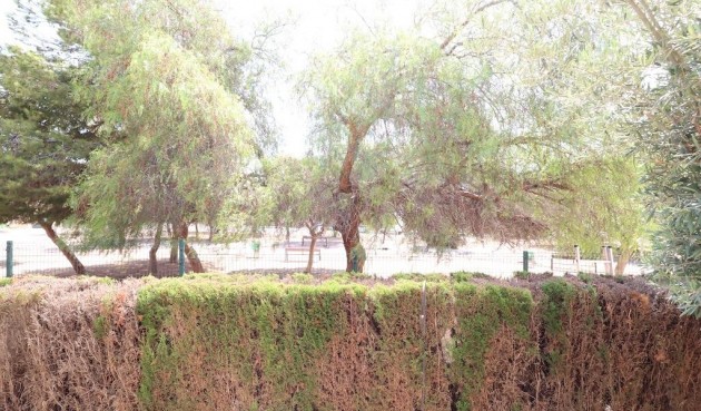 Brukt - Bungalow -
Orihuela Costa - Costa Blanca