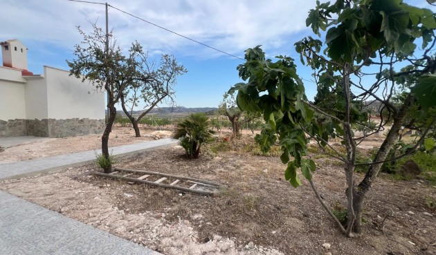 Brukt - Villa -
La Solana