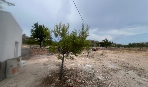 Brukt - Villa -
La Solana