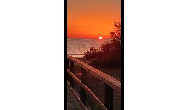 Resale - Bungalow -
Torrevieja - La Mata