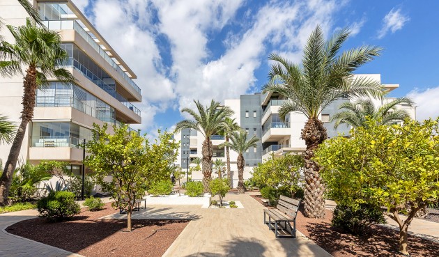 Återförsäljning - Apartment -
Orihuela Costa - Costa Blanca