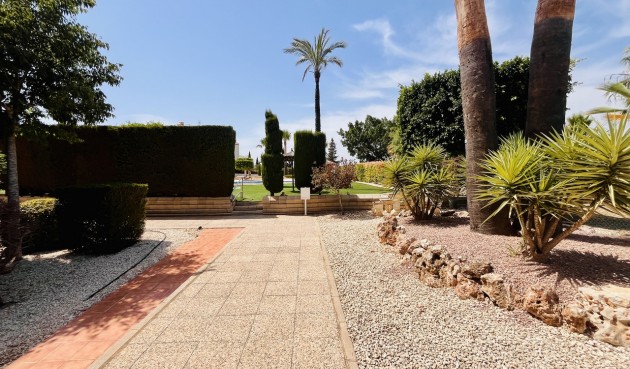 Resale - Apartment -
Villamartin - Costa Blanca