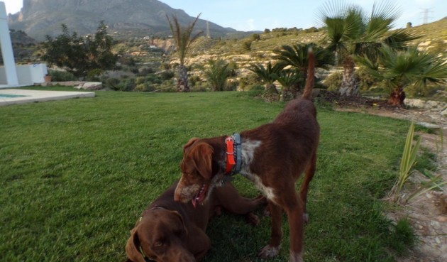 Brukt - Villa -
Finestrat - Costa Blanca