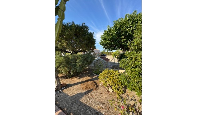 Resale - Villa -
Albatera - Partida Lomas